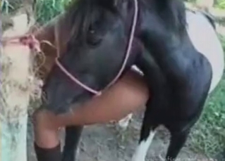 Pony really likes dirty bestiality sex