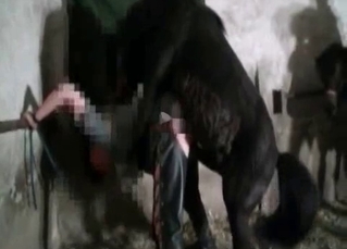 Pony impaled leggy girl from behind