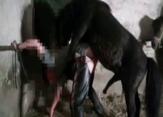 Pony impaled leggy girl from behind