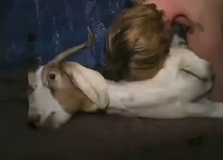 Farmer pounds his goat in the bedroom