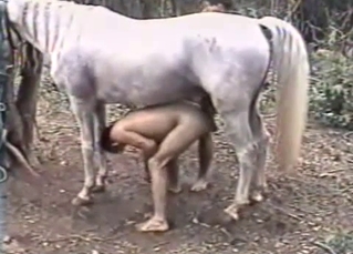White pony brutally penetrated by two insane men