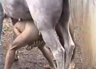 White pony brutally penetrated by two insane men