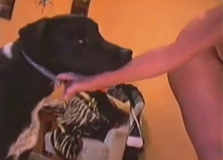 This cute dog is joined by a thin naked zoophile