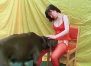 Wet pussy is totally destroyed by a large canine