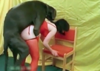 Wet pussy is totally destroyed by a large canine