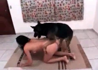 Tight pussy licked and fucked by dog