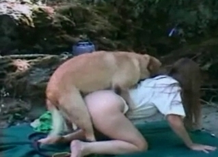 Sexy bitch and her doggy enjoy bestiality sex