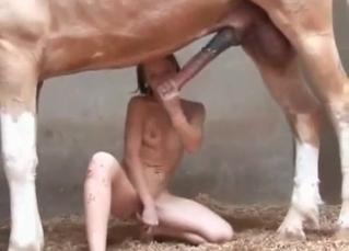 Cutie jerks off a horse prick
