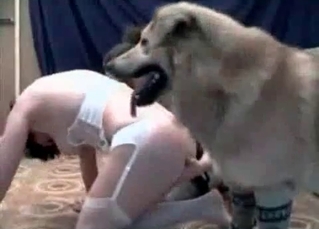 Hound in the nasty bedroom bestiality