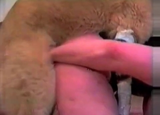 Tight pussy drilled by a horny young puppy