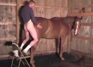 Horse ass gets impaled from behind