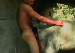 Animal anus nicely impaled by a horny zoophile