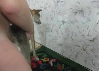Man with big dick owned his own doggy
