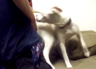 White doggy is enjoying doggy style banging
