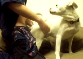 White doggy is enjoying doggy style banging