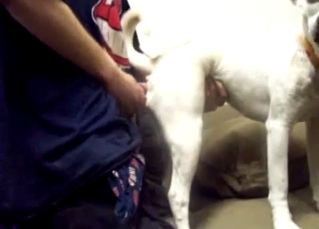 White doggy is enjoying doggy style banging