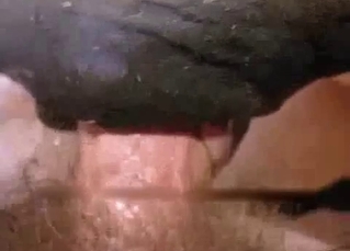 Face-fucking my horse in close up angle
