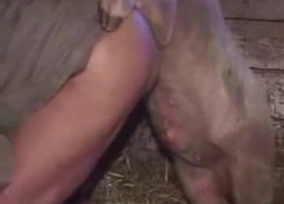 Farmer is getting penetrated by his own pig