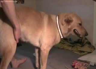 Dude wants to assault his doggo