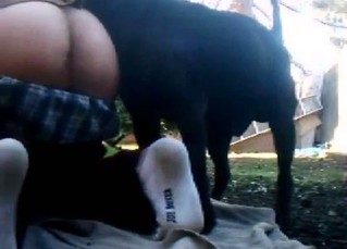 Black dog and a hot female are fucking on the cam