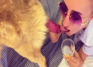 A sensual girl is sucking a dog penis with pleasure