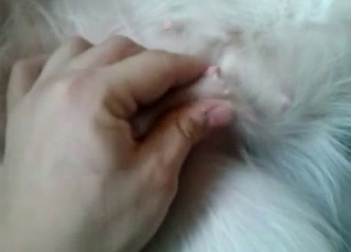 A sensual doggy and a hot female love each other