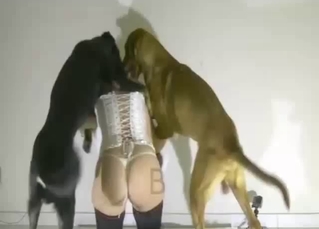 Aesthetic slender brunette banged from behind