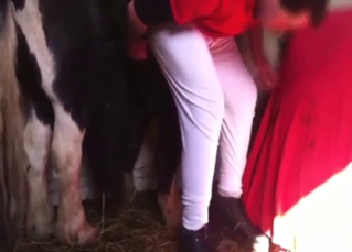 Small pony with a huge cock fucks guy from behind