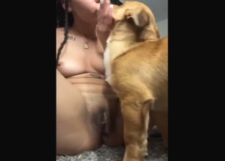 Black babe with a pretty pussy licked by a dog