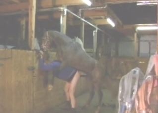 XXX gape scene with a guy who moans with horse