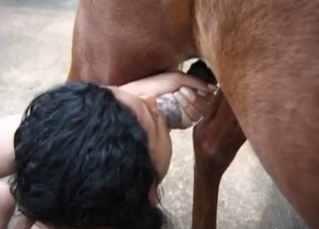 Lads and filly in amateur bestiality