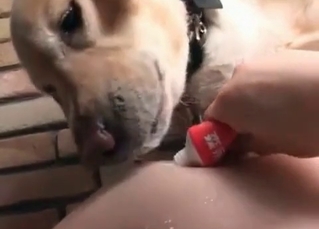Asian girl is getting licked by her lovely doggy