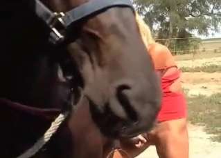 Blonde gives a blowjob for a horse