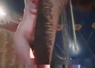 Elephant and a horny naked blonde