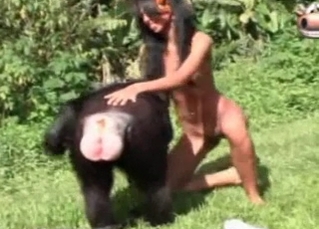 Gorilla in exotic jungle bestiality action