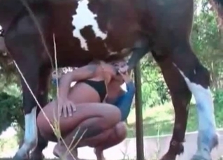 Animal sex with two leggy females
