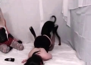 Sexy ladies and black dog in hot bestiality porn